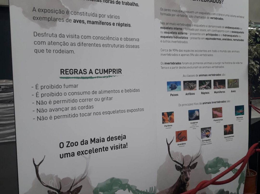 Zoo da Maia-Maia必去景点