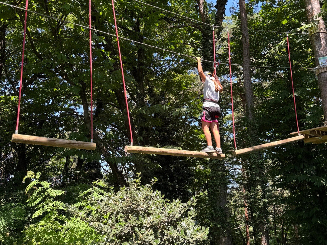 Wonderwood Spina Verde-Colverde必去景点