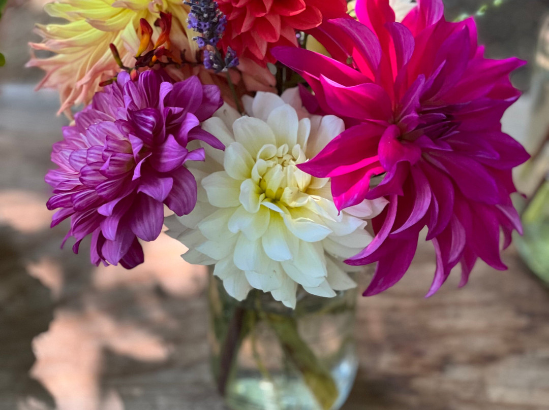 Hall's Hill Lookout and Labyrinth-班布里奇岛必去景点