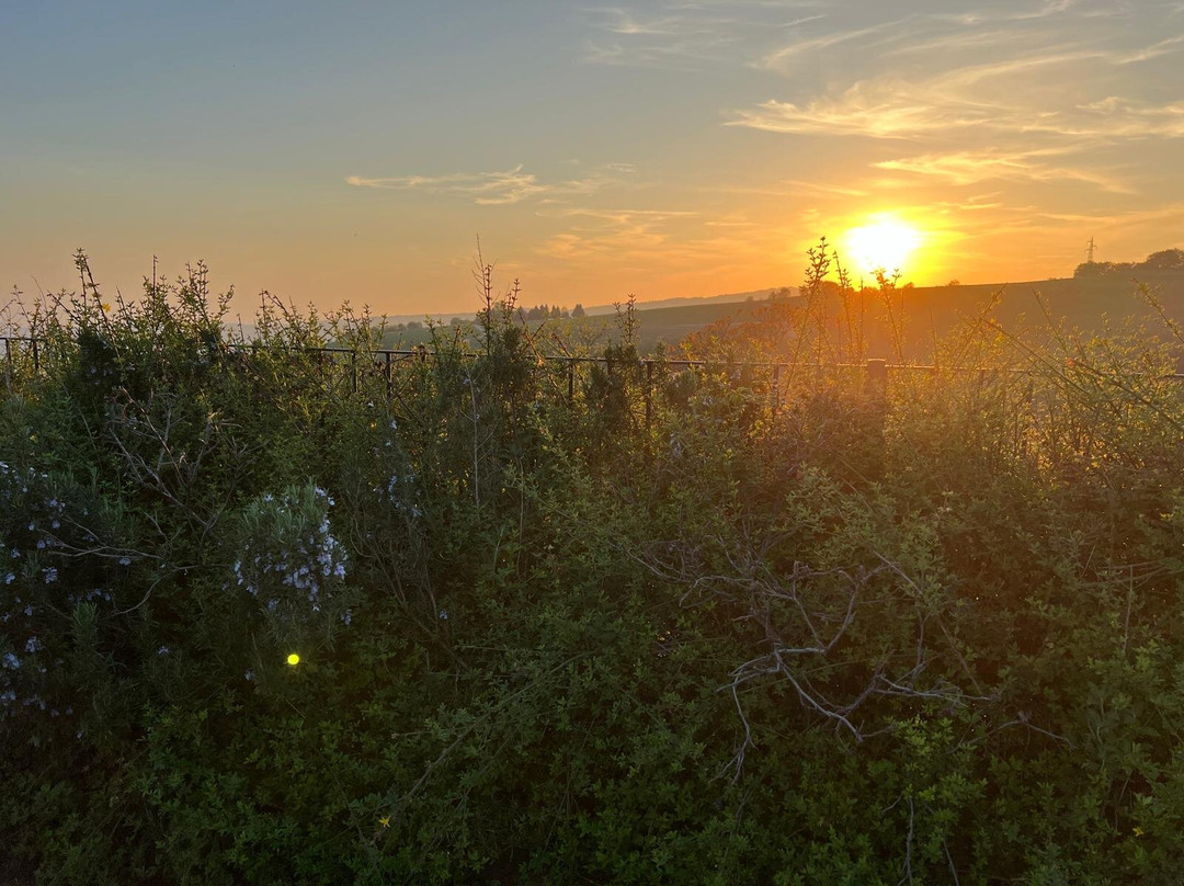 La Collina dei Ciliegi-Grezzana必去景点