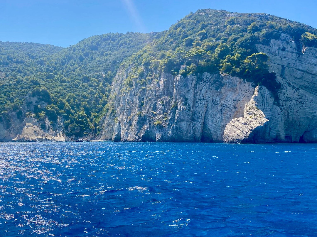 Dolphin Boat Rentals-利姆尼科利必去景点