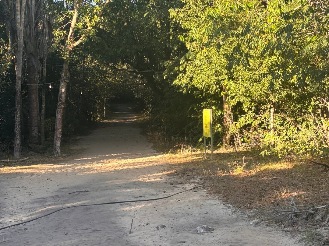 Fervedouro Do Alecrim-Sao Felix do Tocantins必去景点