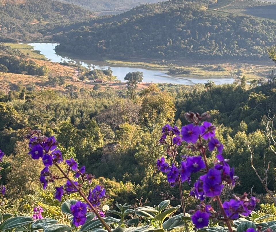 Vinícola Merum-Espirito Santo Do Pinhal必去景点