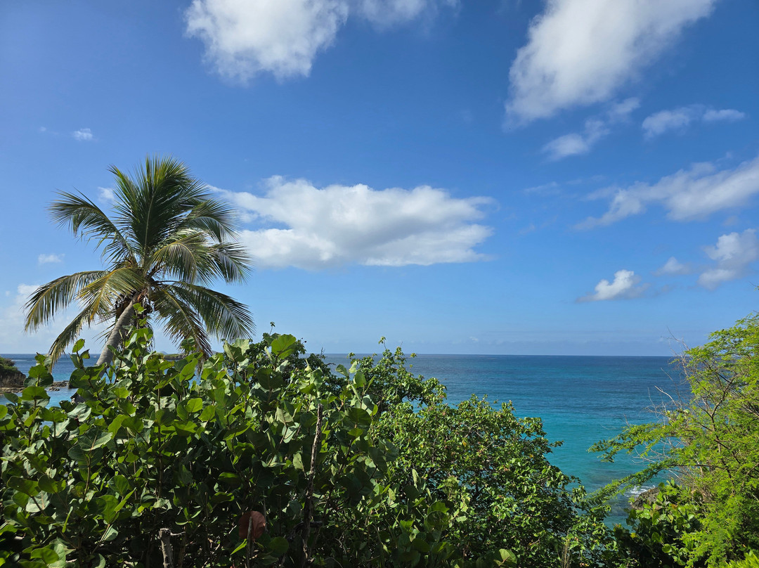 Limetree Beach-South Coast必去景点
