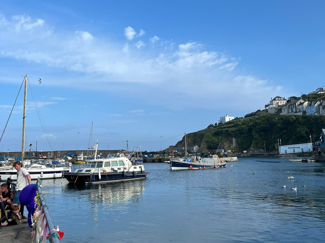 Mevagissey Harbour Wall-梅瓦吉西必去景点