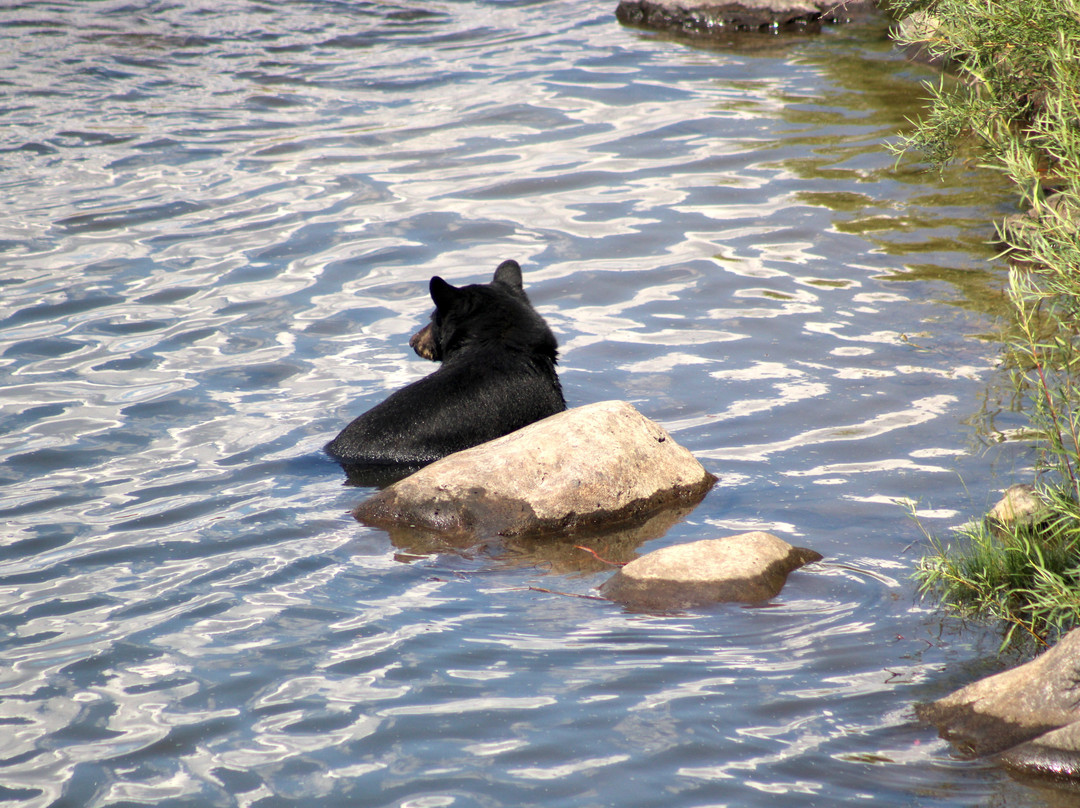 Lakota River Guides-Avon必去景点