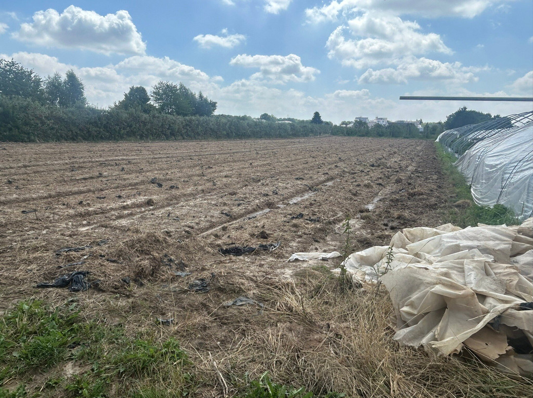 Cueillette de Servigny-Lieusaint必去景点