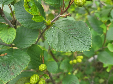 Big Bay State Park-Apostle Islands必去景点