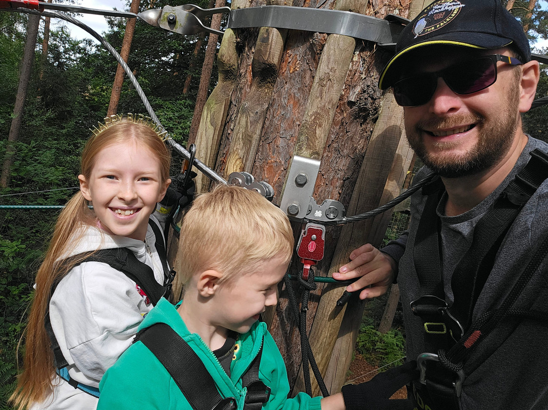 Go Ape Alice Holt-法纳姆必去景点