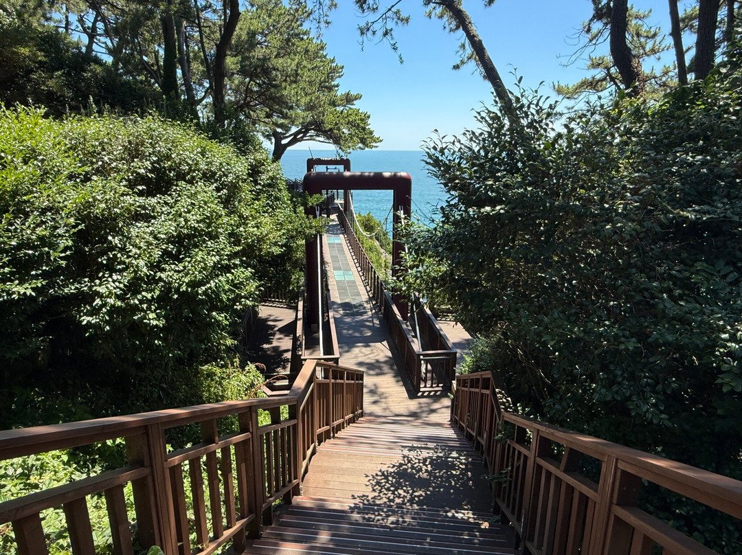 Dongbaekseom-釜山必去景点