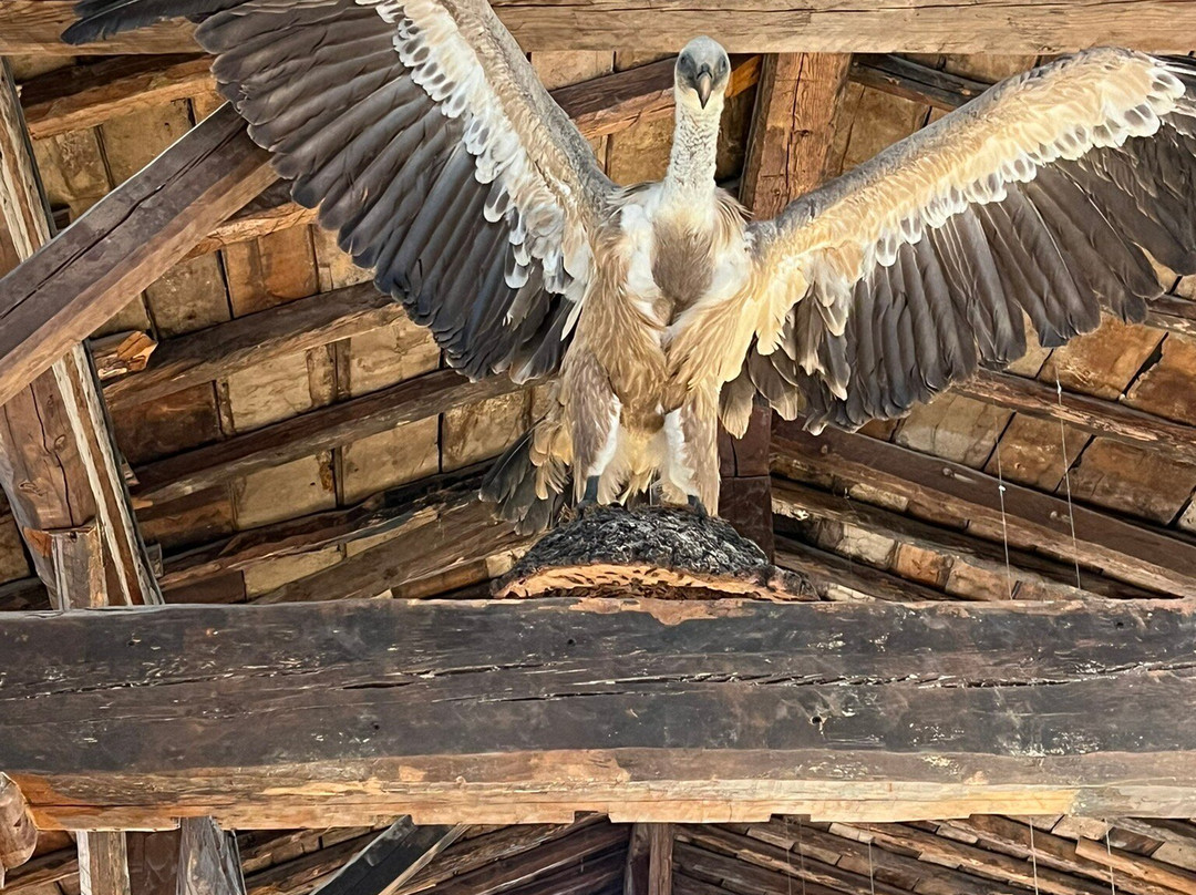 Ermita de San Bartolome-Ucero必去景点