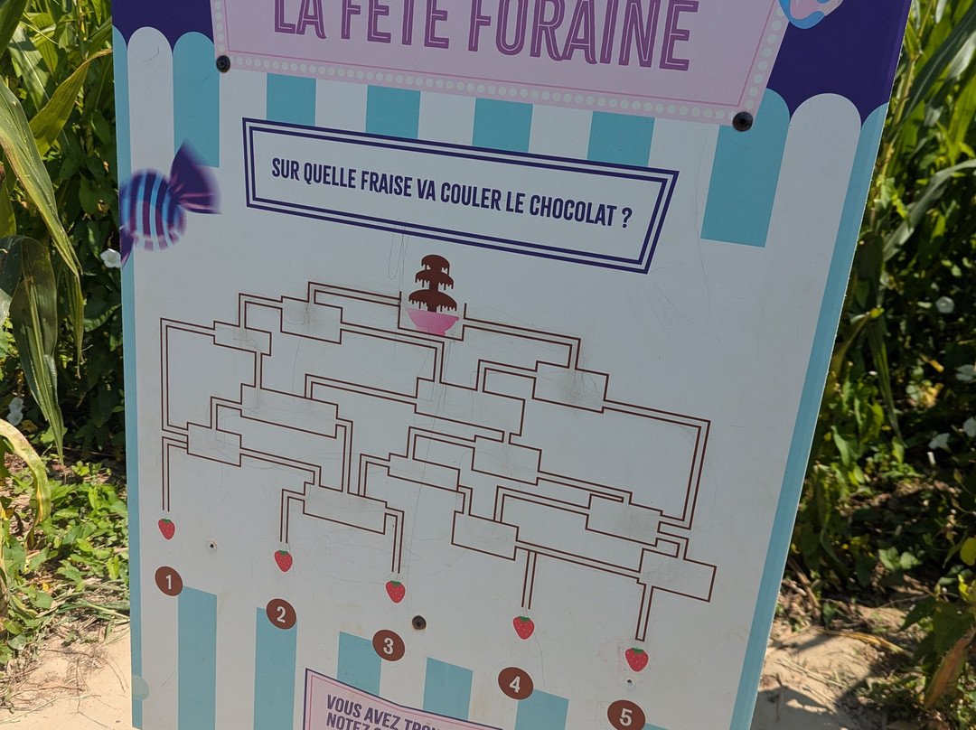 Labyrinthe de Malido-Saint-Alban必去景点