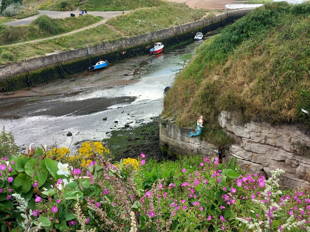 Waterford Arms主图