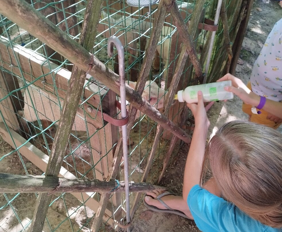 Mouton Village-Vasles必去景点