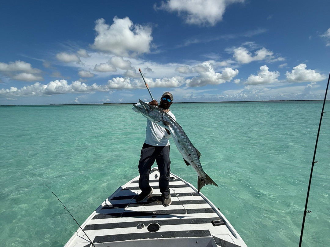 Generation Tours-普罗维登西亚莱斯必去景点