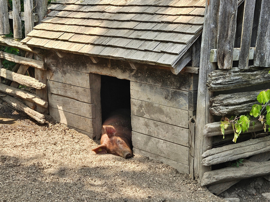 Lang Pioneer Village Museum-Keene必去景点