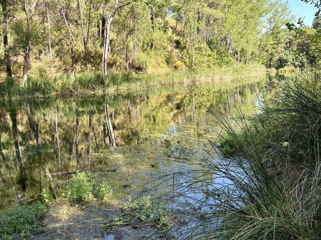 Nacimiento de Rio Frio-Dehesa de Santiago必去景点