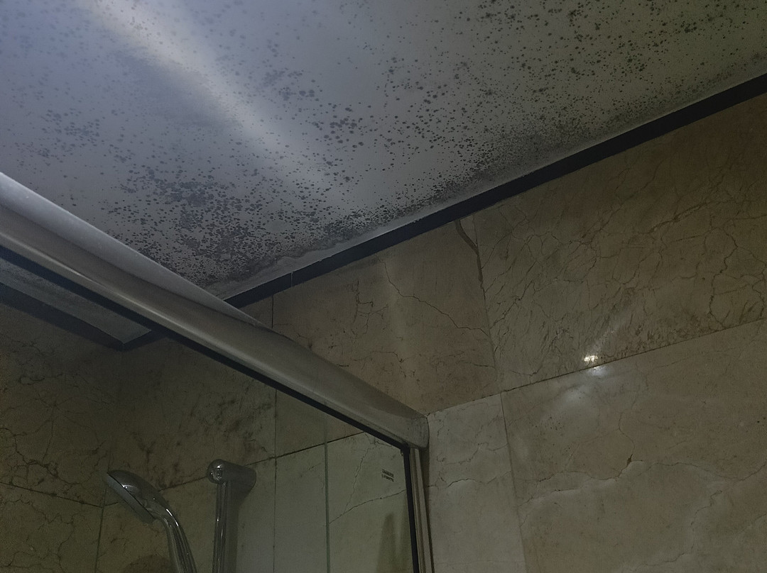 最佳一晚饭店主图