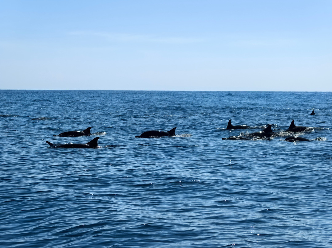 oni soekotjo bromoindonesia.id-玛琅必去景点