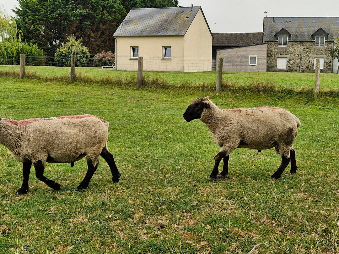 Ferme de la Ruette主图