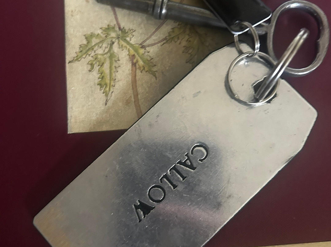 Hodgkinson's Hotel主图