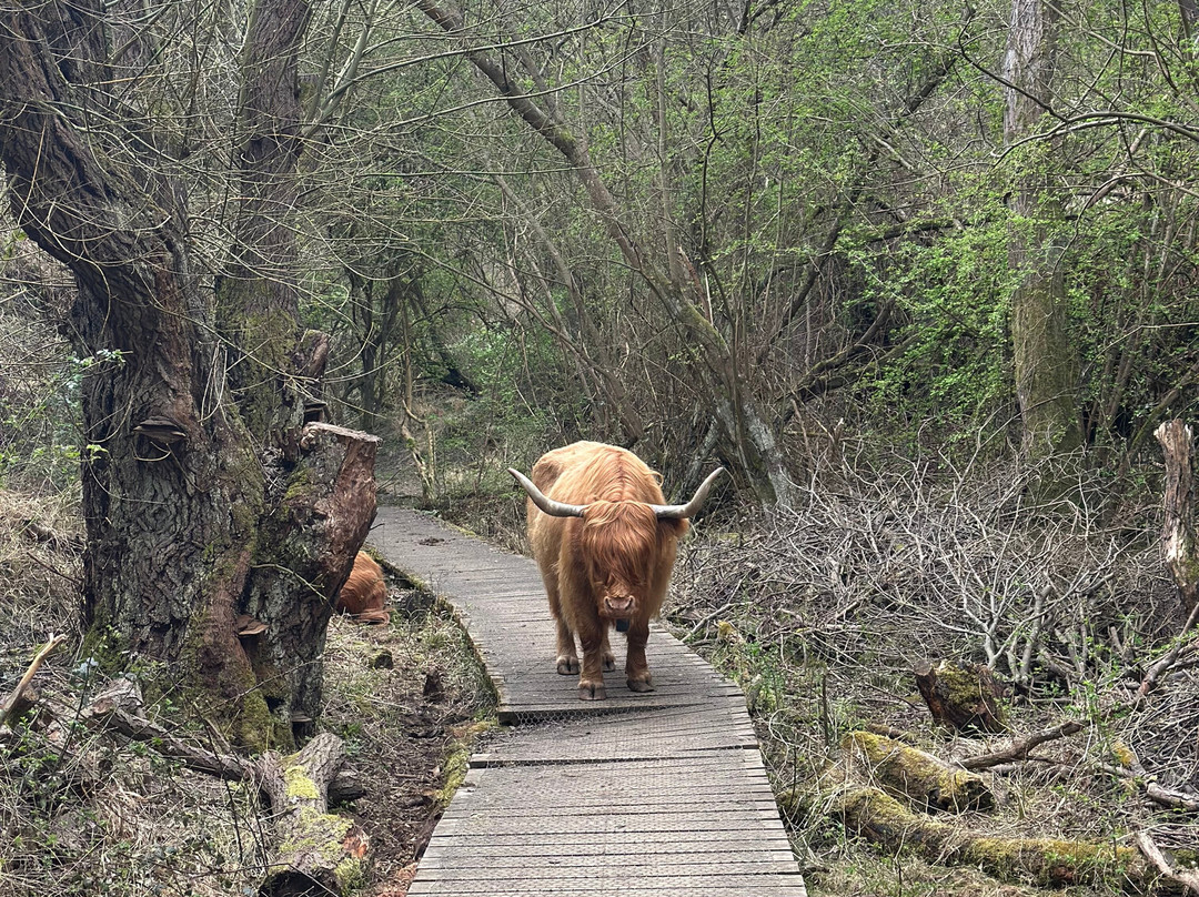 Twywell Hills and Dales-凯特林必去景点