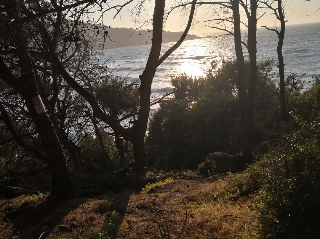 Summer Yoga Sessions-Gialiskari必去景点