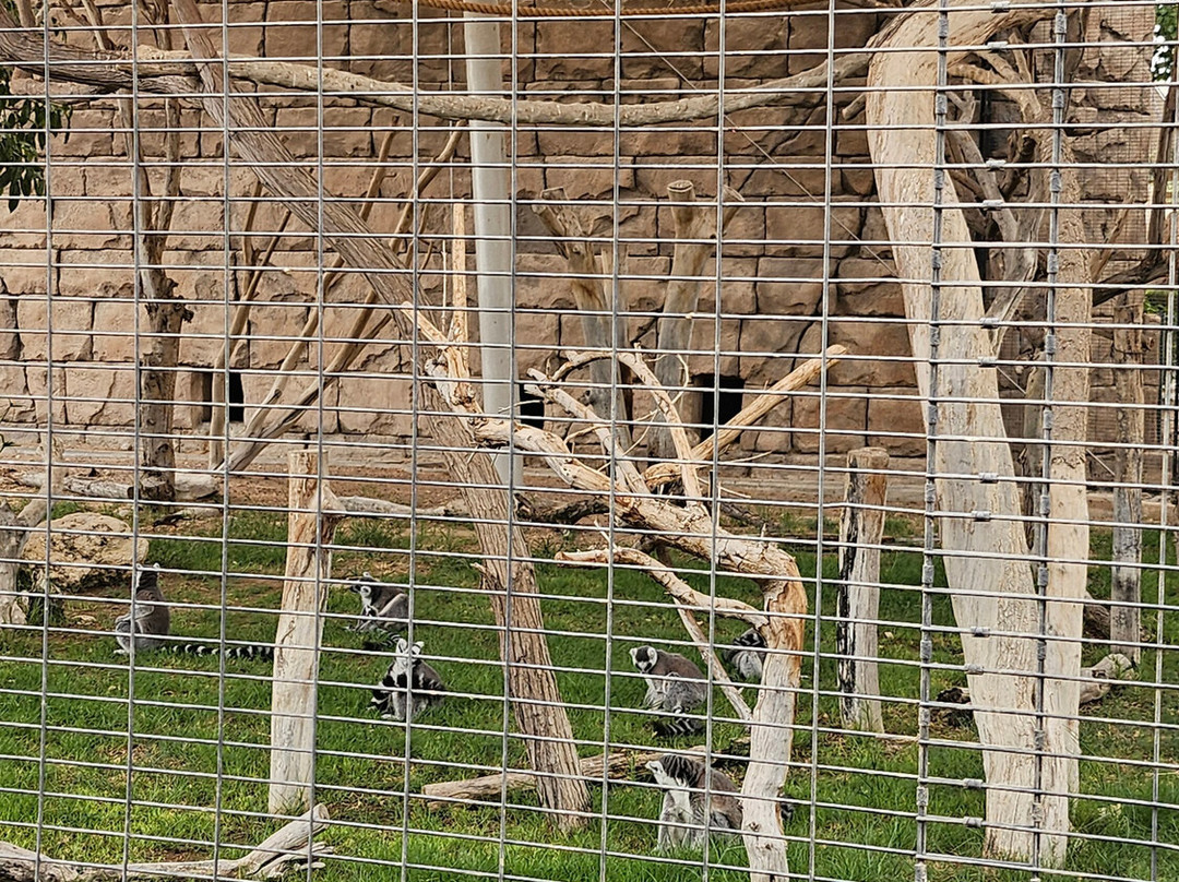 Al Ain Zoo 2017 2018 2019-艾因市必去景点