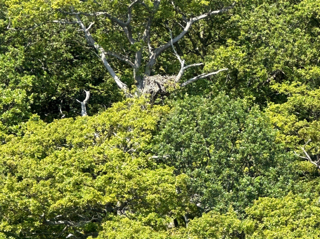 Cruise Loch Lomond-拉斯必去景点
