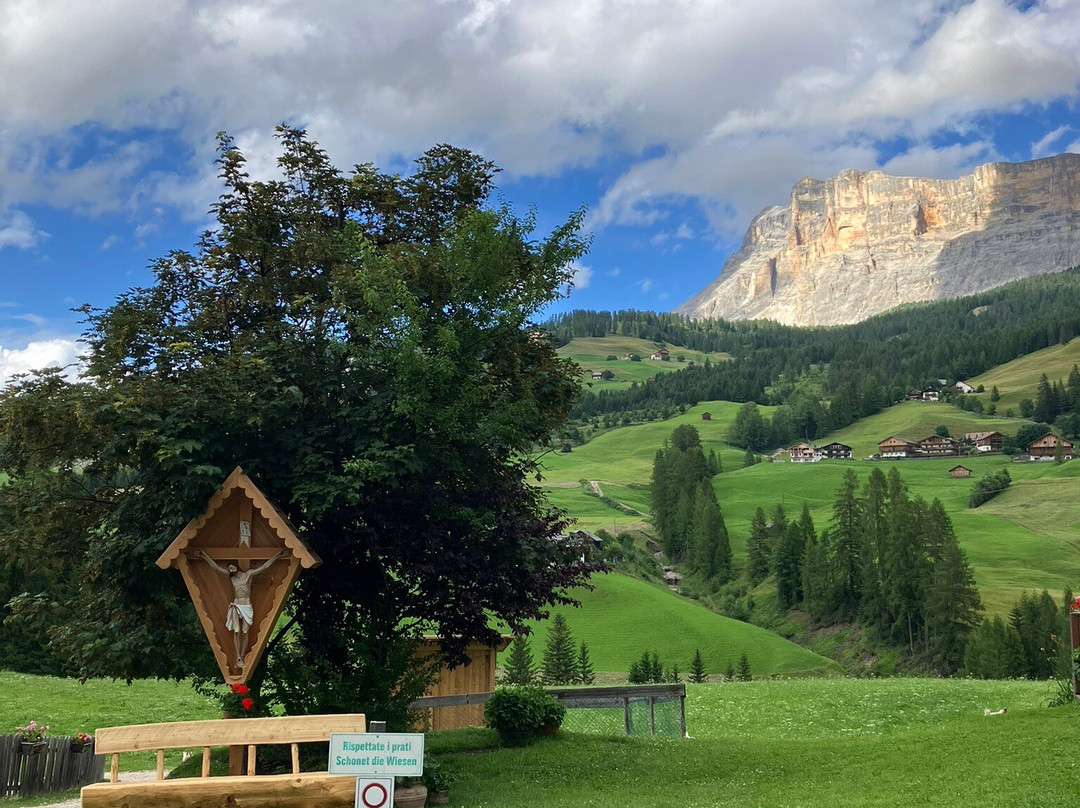 Hotel Des Alpes主图