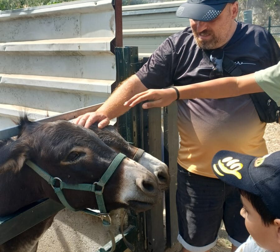 Quinta Pedagógica Quinta das Manas-吉马良斯必去景点