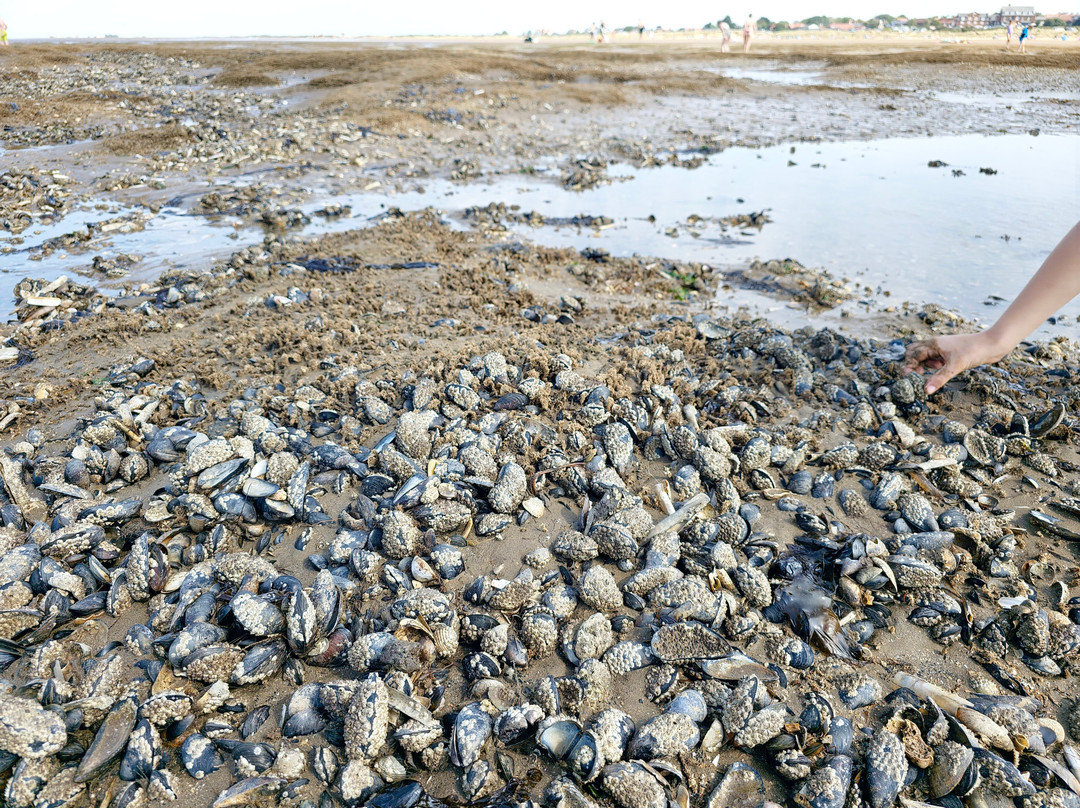 Old Hunstanton Beach-Old Hunstanton必去景点