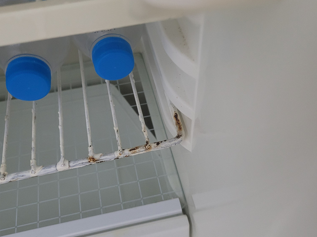 Old Windmill Studios主图