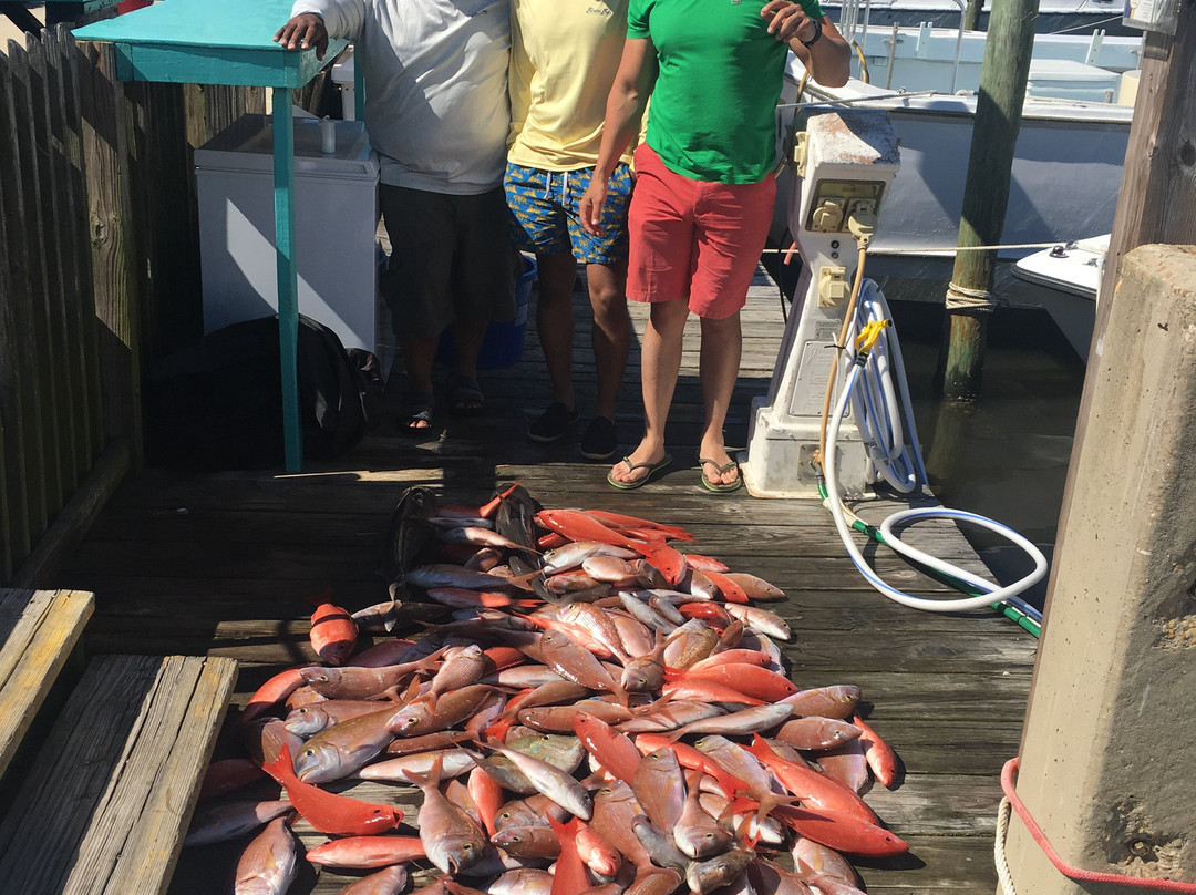 The Reel Contender Fishing Charter-巴拿马城海滩必去景点