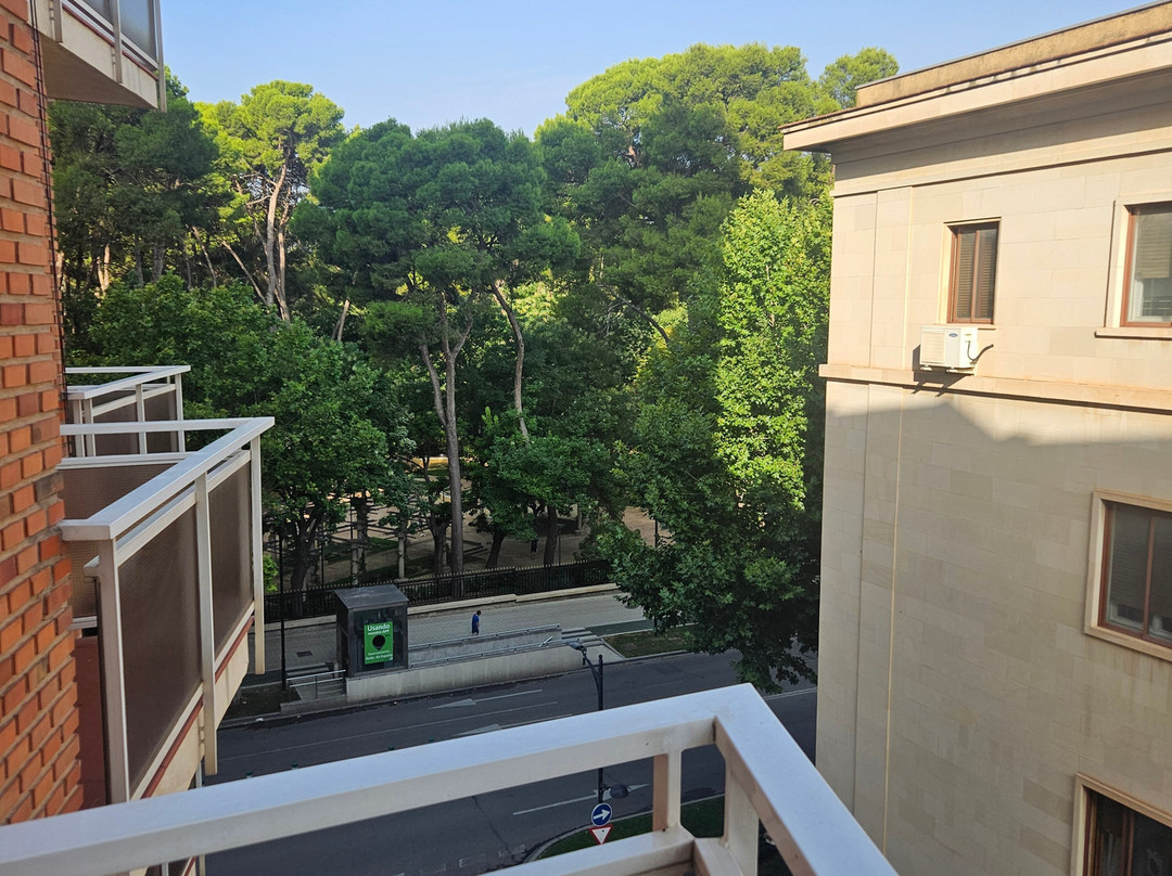 Sercotel Los Llanos主图