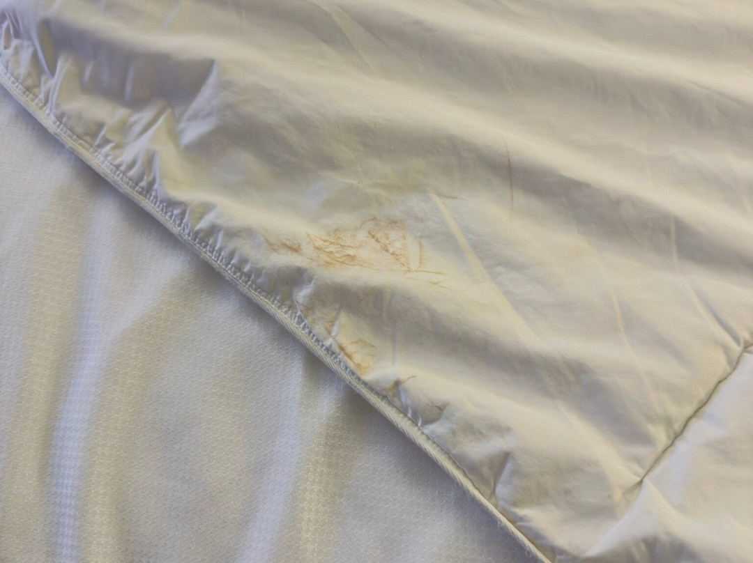 Comfort Suites主图