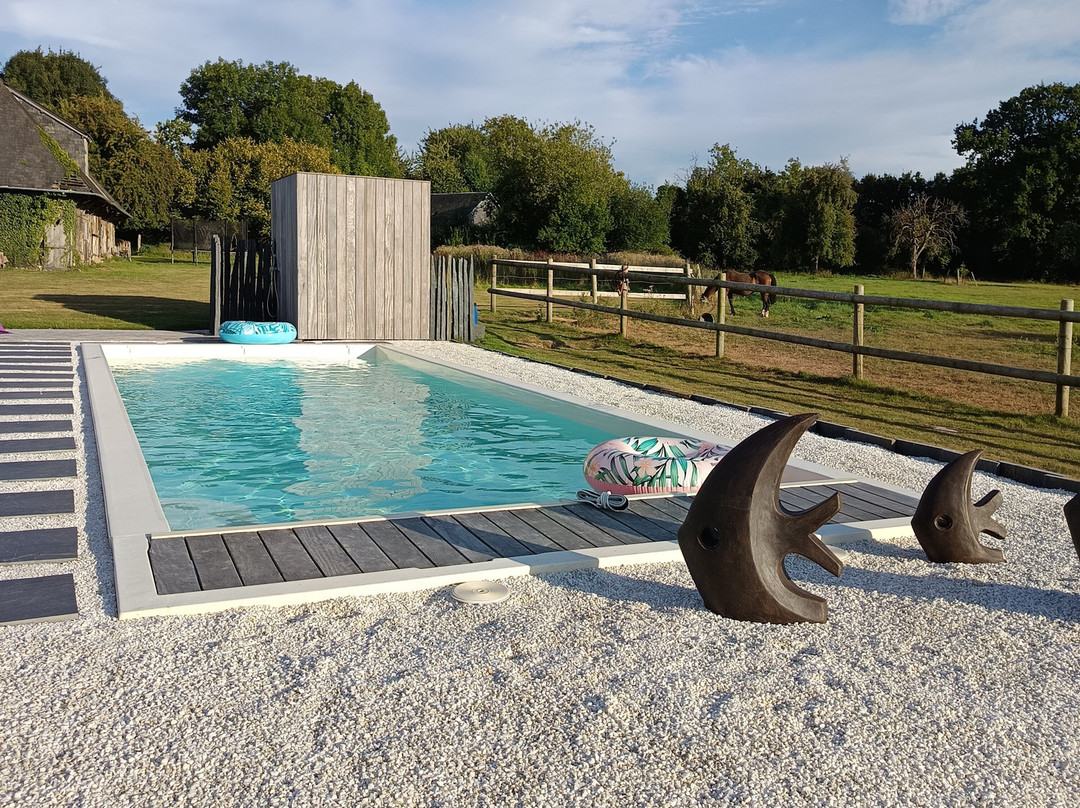 La Pomme D'amour主图