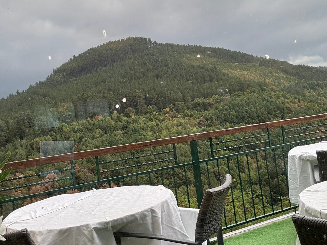 Hotel des Rochers主图