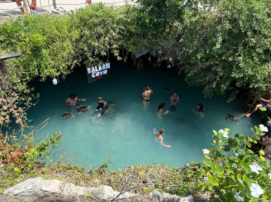 Salaam Cave Aquarium-Kizimkazi Dimbani必去景点