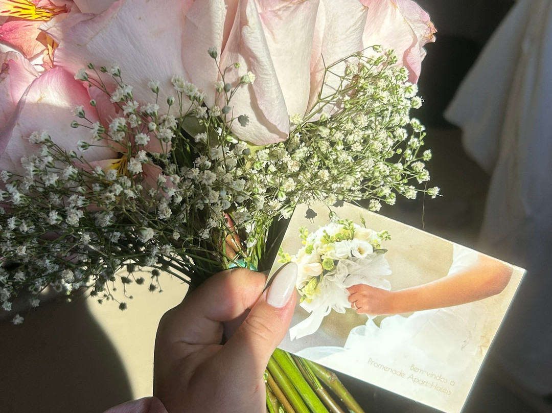 Promenade Soho Campos主图