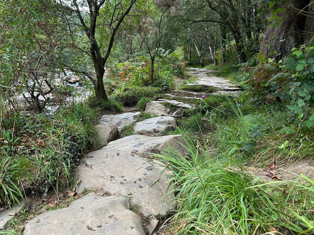 Beddgelert-Beddgelert必去景点
