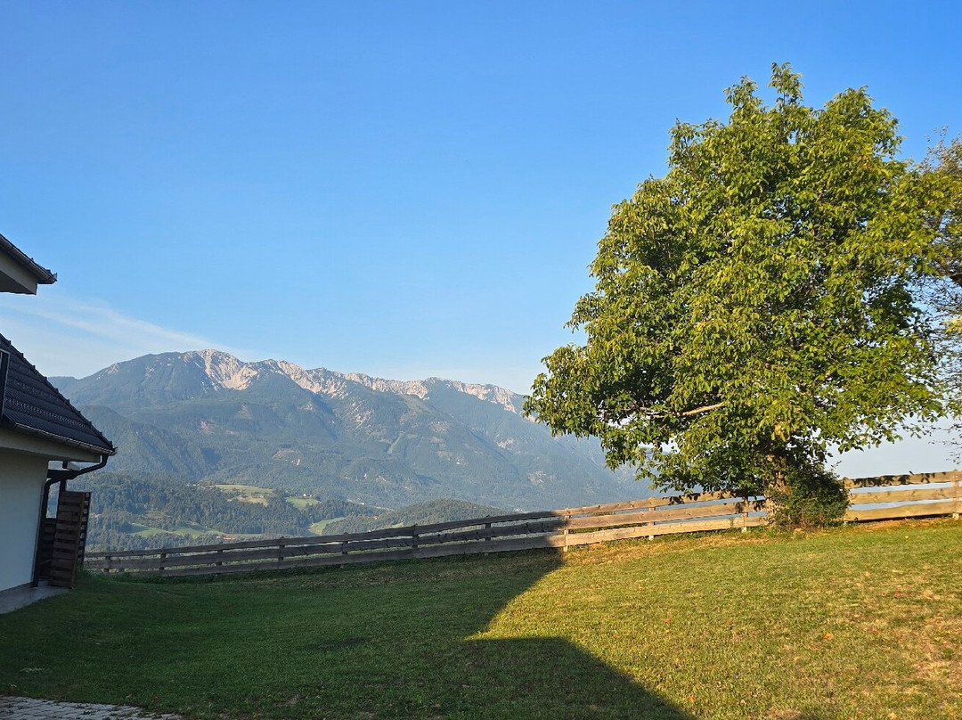 Gostisce Marin-Miler主图