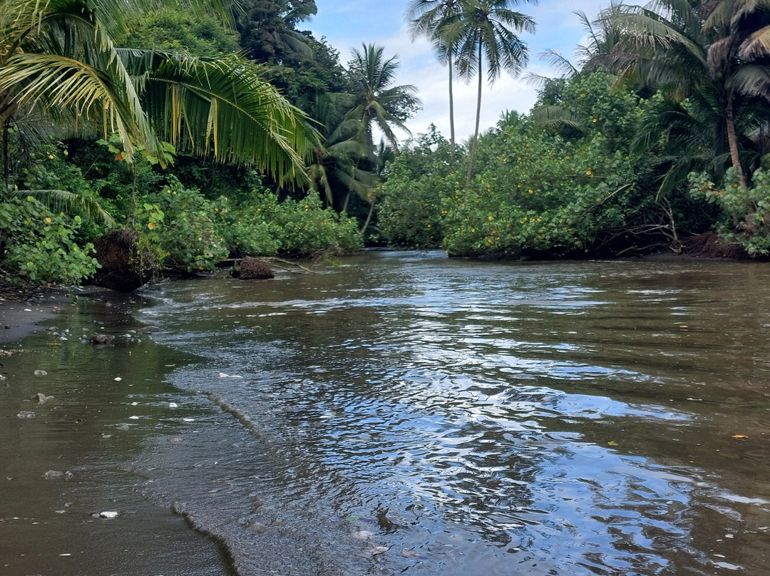Corcovado Guia CR-希门尼斯港必去景点
