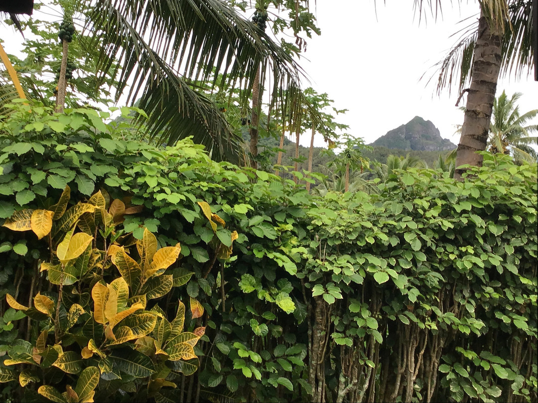 伊库朗基生态度假屋主图