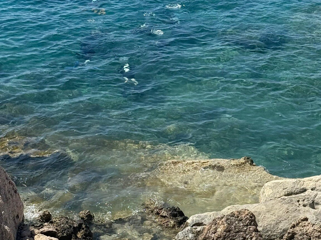 Marine Divers-帕福斯必去景点