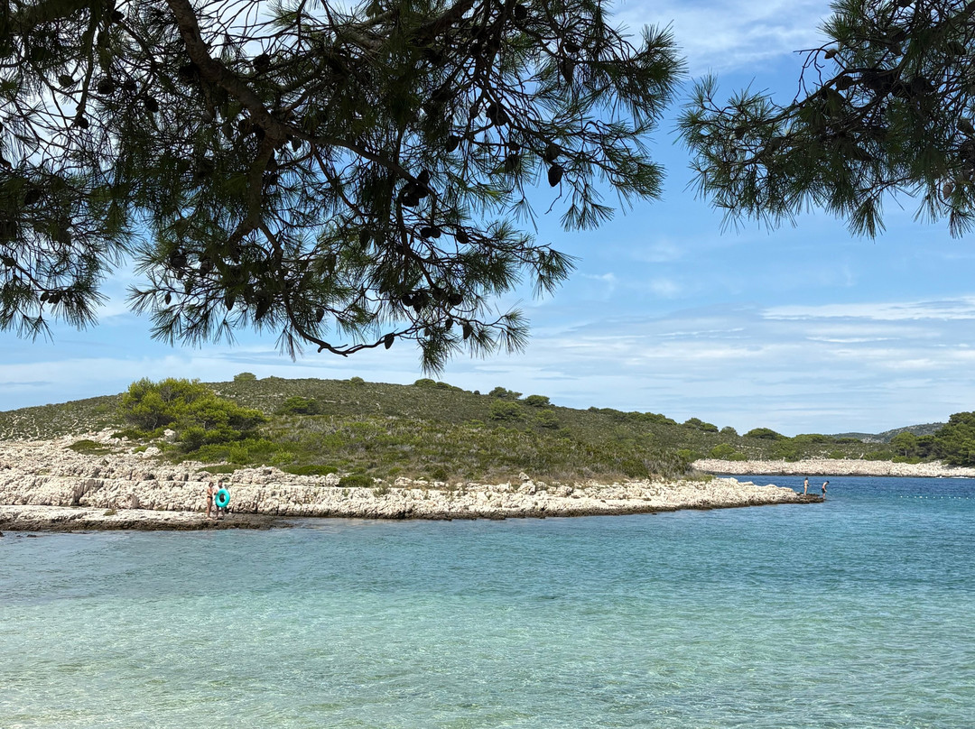 Beach Milna (hvar)