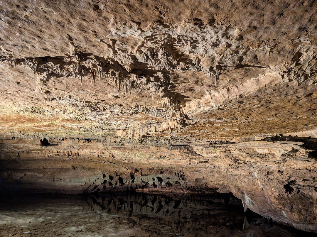 Grottes d'Arcy-sur-Cure-Arcy-sur-Cure必去景点