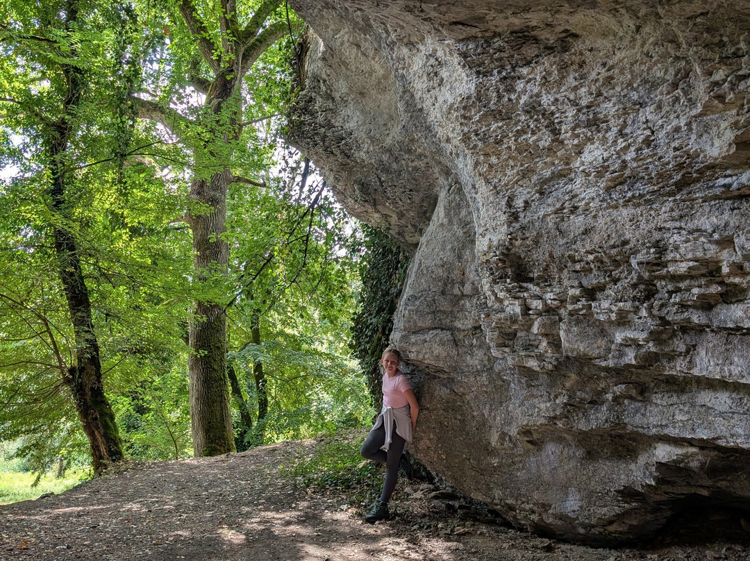 Grottes d'Arcy-sur-Cure-Arcy-sur-Cure必去景点