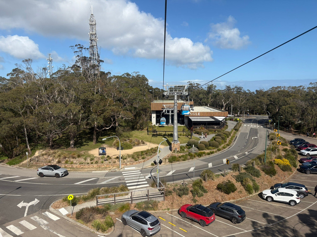 Arthurs Seat Eagle-Arthurs Seat必去景点