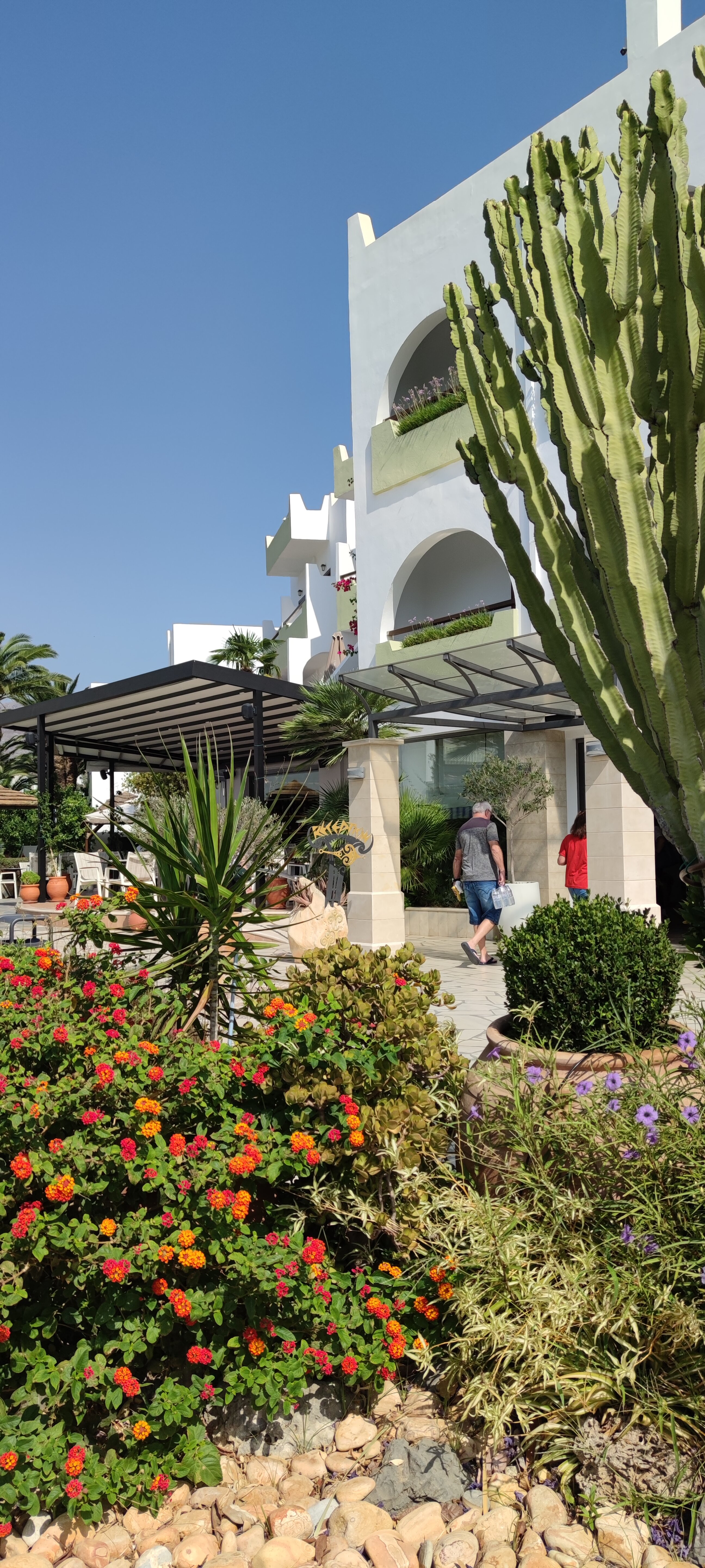 Alianthos Garden Hotel-官方